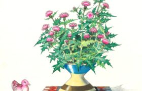 会員限定展示